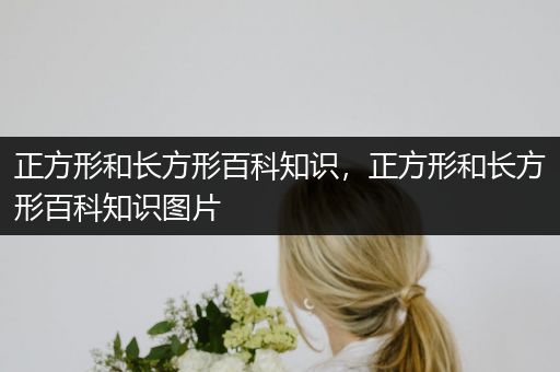 正方形和长方形百科知识，正方形和长方形百科知识图片