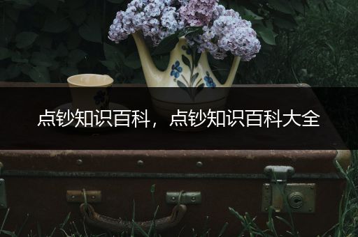 点钞知识百科，点钞知识百科大全
