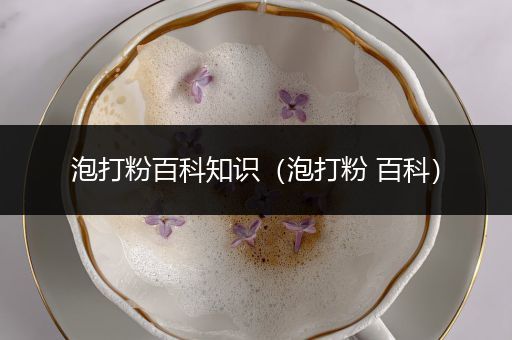 泡打粉百科知识（泡打粉 百科）