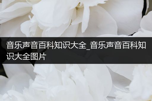 音乐声音百科知识大全_音乐声音百科知识大全图片