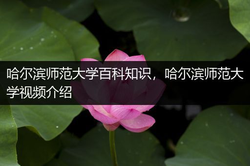 哈尔滨师范大学百科知识，哈尔滨师范大学视频介绍