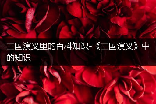 三国演义里的百科知识-《三国演义》中的知识