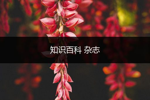 知识百科 杂志