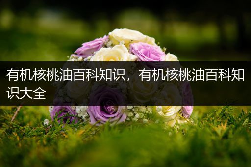有机核桃油百科知识，有机核桃油百科知识大全