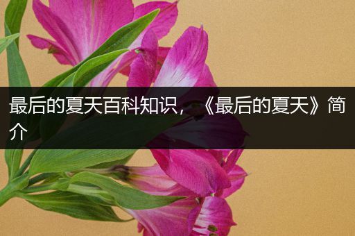 最后的夏天百科知识，《最后的夏天》简介