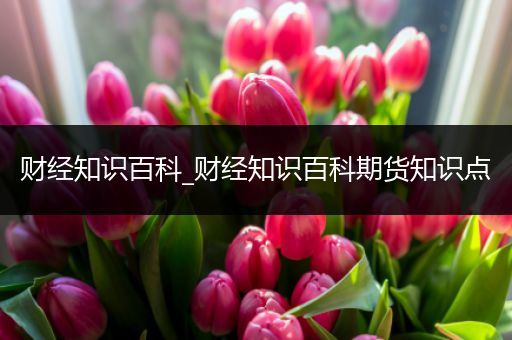 财经知识百科_财经知识百科期货知识点