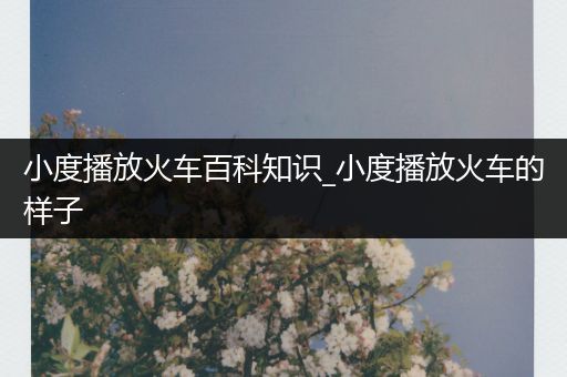 小度播放火车百科知识_小度播放火车的样子