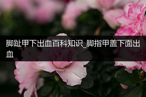 脚趾甲下出血百科知识_脚指甲盖下面出血