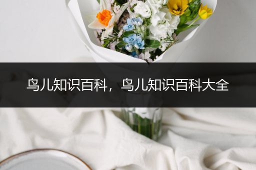 鸟儿知识百科，鸟儿知识百科大全