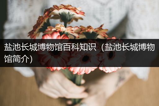 盐池长城博物馆百科知识（盐池长城博物馆简介）