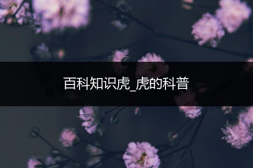百科知识虎_虎的科普