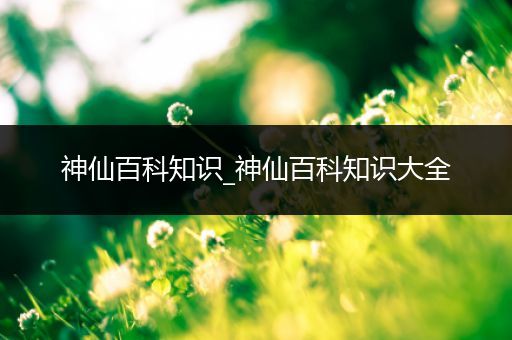 神仙百科知识_神仙百科知识大全