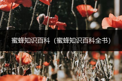 蜜蜂知识百科（蜜蜂知识百科全书）