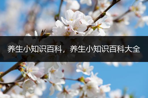 养生小知识百科，养生小知识百科大全