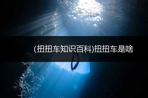 （扭扭车知识百科)扭扭车是啥