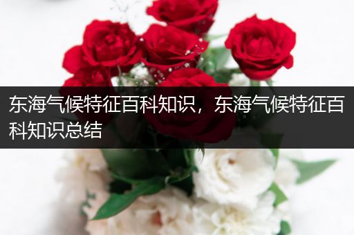 东海气候特征百科知识，东海气候特征百科知识总结