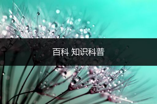 百科 知识科普