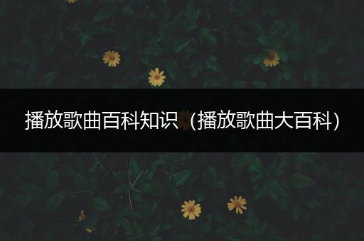 播放歌曲百科知识（播放歌曲大百科）