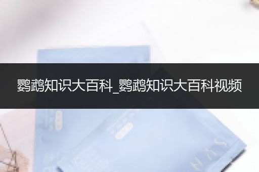 鹦鹉知识大百科_鹦鹉知识大百科视频