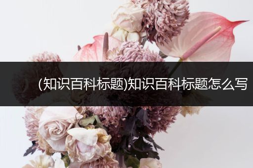 （知识百科标题)知识百科标题怎么写