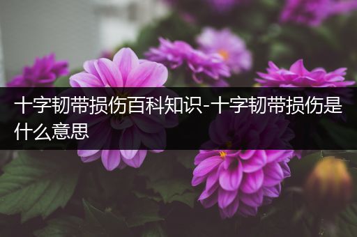 十字韧带损伤百科知识-十字韧带损伤是什么意思