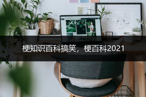 梗知识百科搞笑，梗百科2021