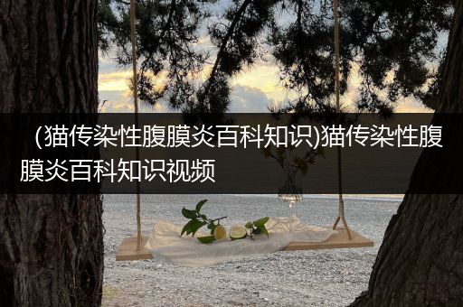 （猫传染性腹膜炎百科知识)猫传染性腹膜炎百科知识视频
