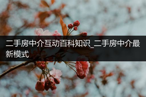 二手房中介互动百科知识_二手房中介最新模式