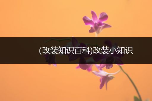 （改装知识百科)改装小知识