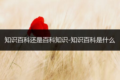 知识百科还是百科知识-知识百科是什么