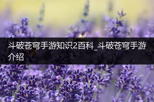 斗破苍穹手游知识2百科_斗破苍穹手游介绍