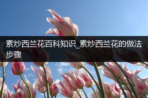 素炒西兰花百科知识_素炒西兰花的做法步骤