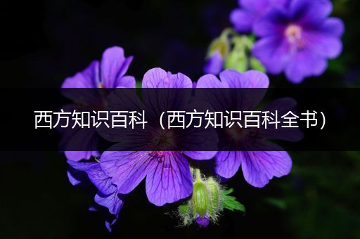 西方知识百科（西方知识百科全书）