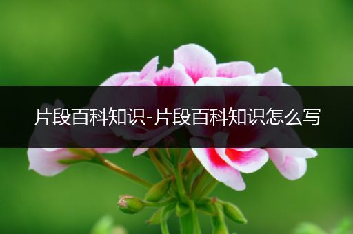 片段百科知识-片段百科知识怎么写