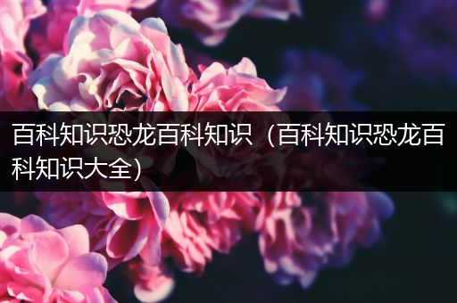 百科知识恐龙百科知识（百科知识恐龙百科知识大全）