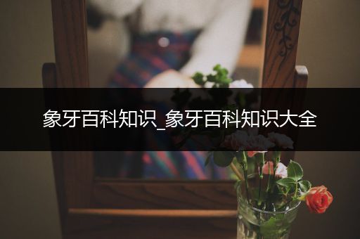 象牙百科知识_象牙百科知识大全