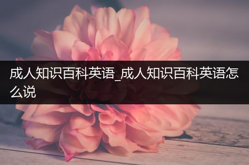 成人知识百科英语_成人知识百科英语怎么说