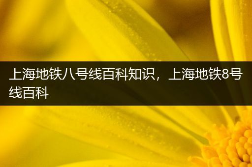 上海地铁八号线百科知识，上海地铁8号线百科