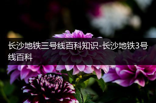 长沙地铁三号线百科知识-长沙地铁3号线百科