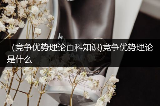 （竞争优势理论百科知识)竞争优势理论是什么
