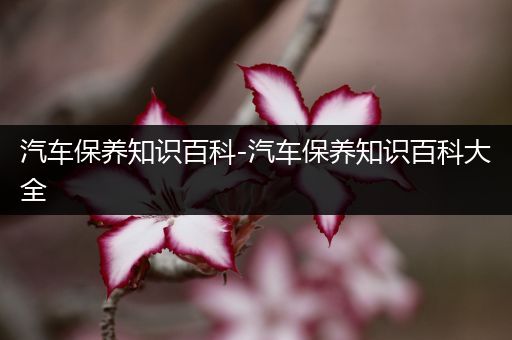 汽车保养知识百科-汽车保养知识百科大全