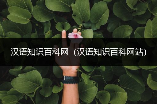 汉语知识百科网（汉语知识百科网站）