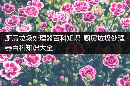 厨房垃圾处理器百科知识_厨房垃圾处理器百科知识大全
