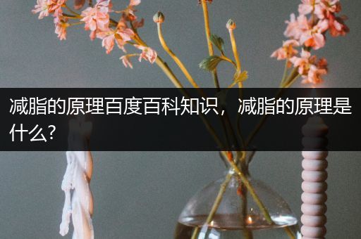 减脂的原理百度百科知识，减脂的原理是什么?