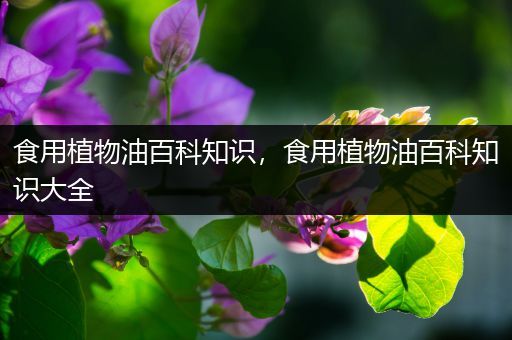 食用植物油百科知识，食用植物油百科知识大全