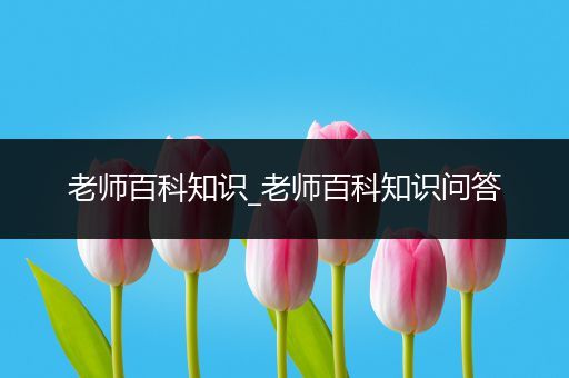 老师百科知识_老师百科知识问答