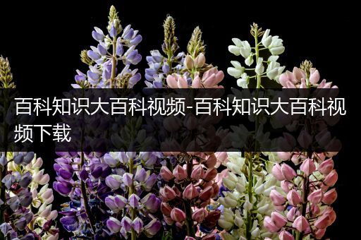 百科知识大百科视频-百科知识大百科视频下载