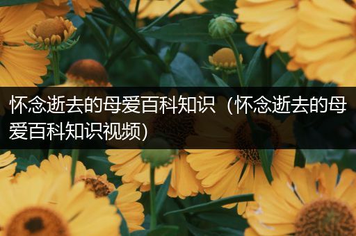 怀念逝去的母爱百科知识（怀念逝去的母爱百科知识视频）