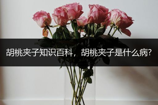 胡桃夹子知识百科，胡桃夹子是什么病?