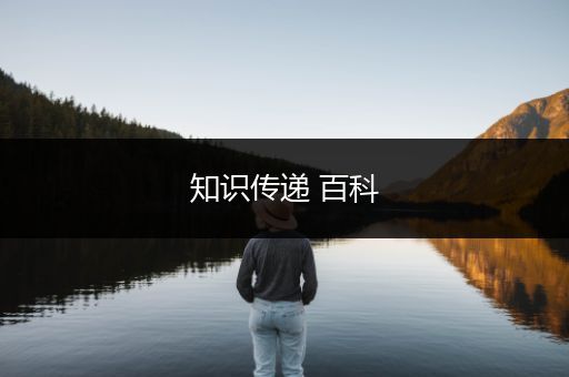 知识传递 百科
